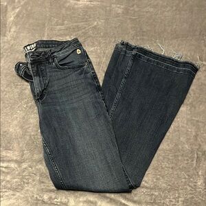 Idyllwind Flare Jeans